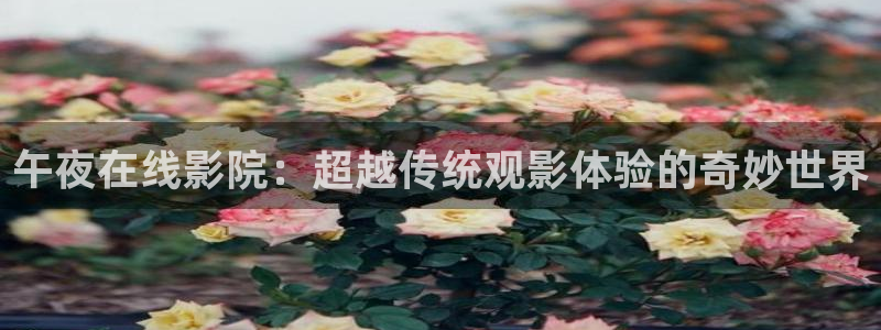 星空传媒高清免费观看