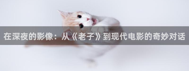 《雁回时》麻豆电影
