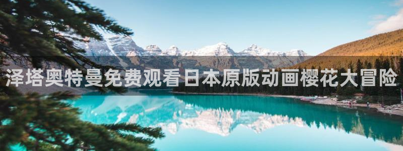 星空传媒免费高清视频