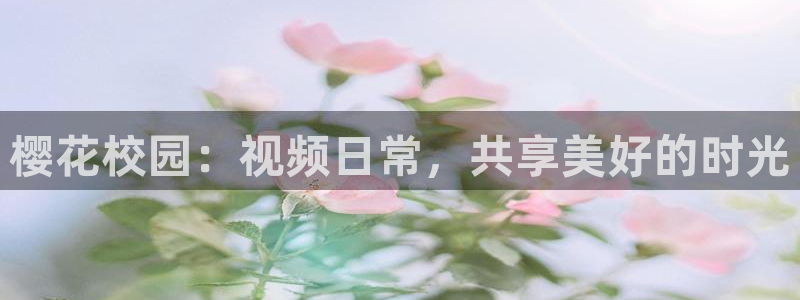 星空影视频