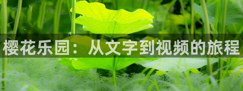 麻豆电影免费观看电影2023