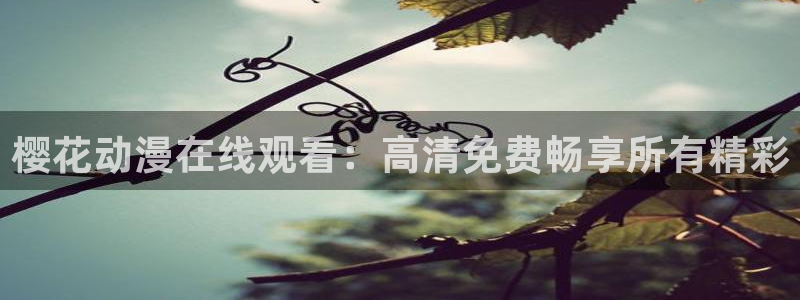 麻豆电影入口