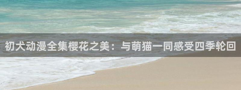 沉香如屑电视剧免费麻豆电影