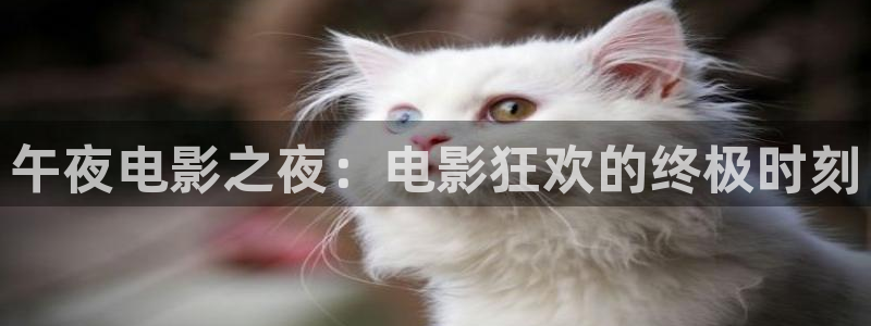熊出没星空影视