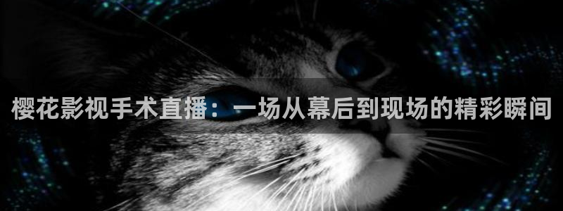 星空传媒在线观看高清