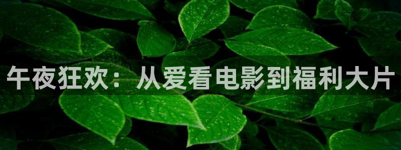 星空影城今日电影