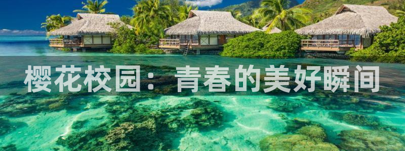 无颜之月星空影视