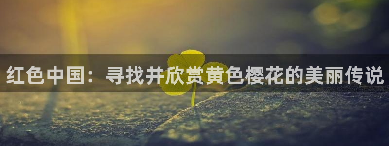 麻豆电影高清完整版