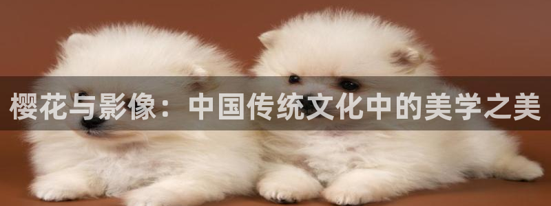 星辰影院策驰影院麻豆电影