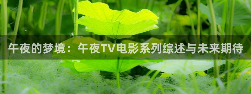 星空影视下载安装