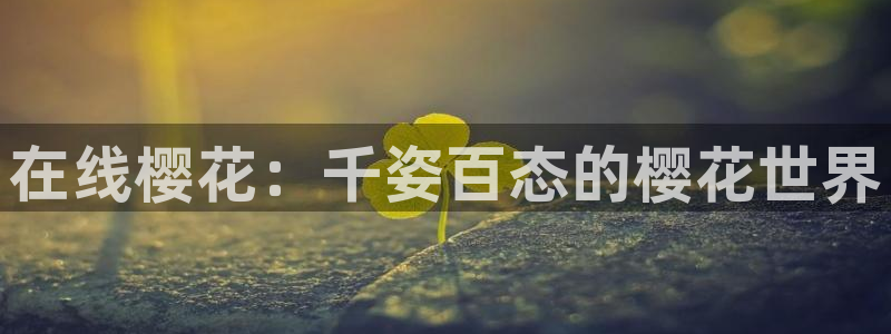 麻豆电影免费观看电影app