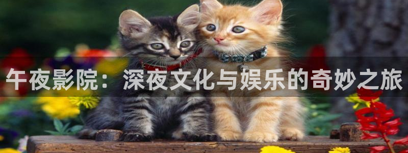 麻豆电影免费播放
