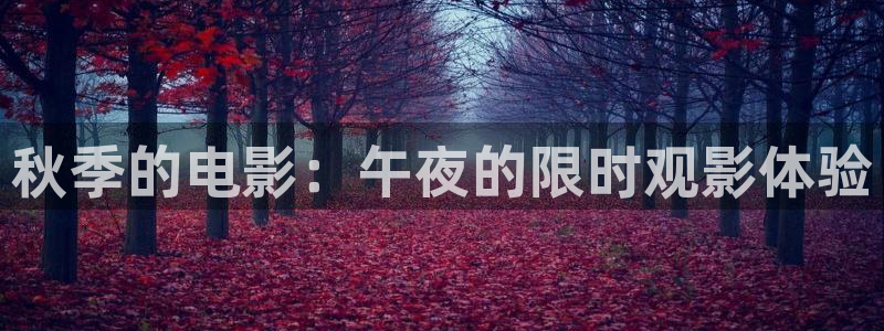 浩瀚星空电影免费观看