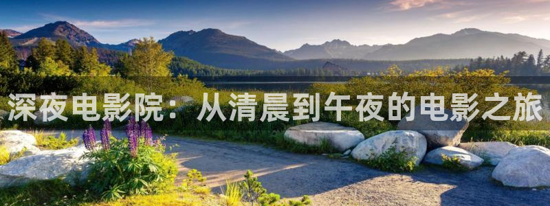 星空书