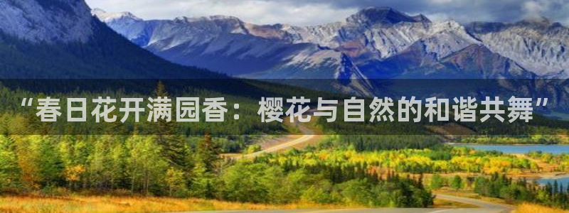 星空无限影视传媒av