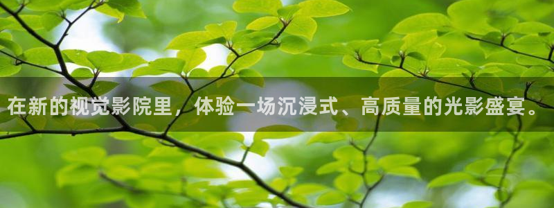 织金县星空影城