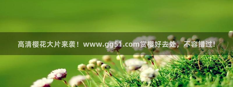 麻豆电影大全免费观看