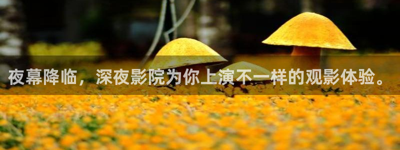 星空影视频道