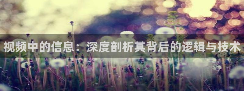 麻豆电影免费观看电