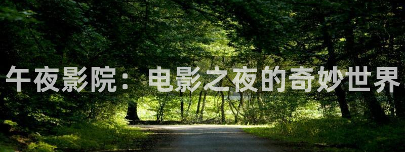 星空免费播放