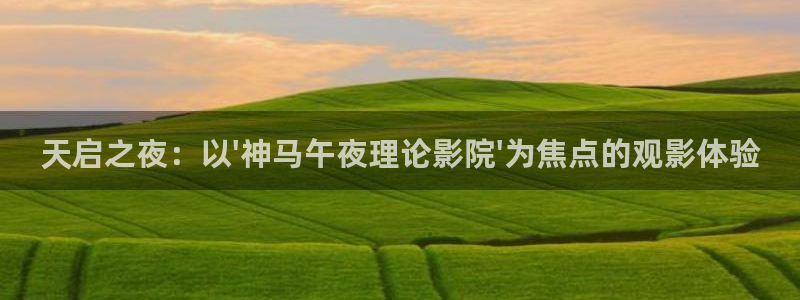 麻豆电影在线高清免费观看